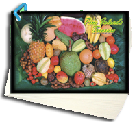 Pine Island Treasures Cookbook